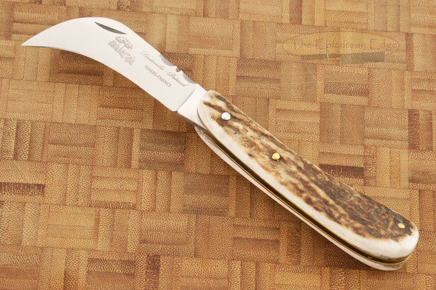 Folding Mushroom Knife, Stag