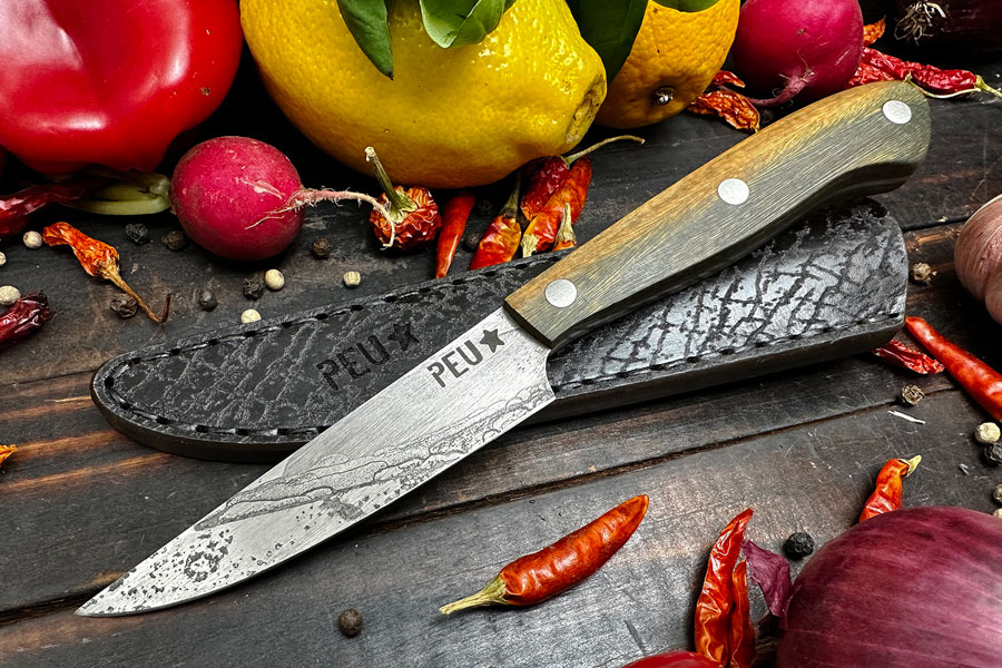 Paring Knife (4 in.) with Pau Santo and O2 Carbon Steel