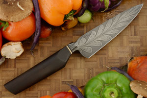 David Burke Santoku Steak Knife Set